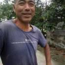 小青年