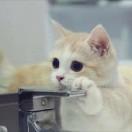 丫头╭(╯ε╰)╮