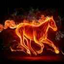 若无相欠怎会遇见