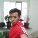 不死的小强28