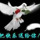 我爱我妈