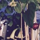 内蒙古呼和浩特玖姿尹勇智