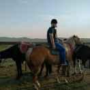 北京瀚丰优品严选店