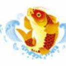 鱼跃龙门观赏鱼店