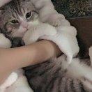 🌈甜心宝贝🌈🌈