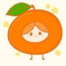 守护橙子🍊 呆