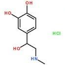 最后一支肾上腺素