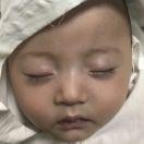 春风野火