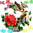 浅唱、樱花落。