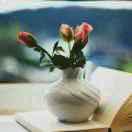 ABCDEFGHIJKLMNOPQRST