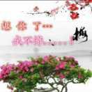 有你真好