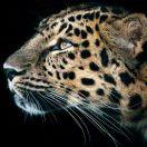 巭孬嫑勥烎😋 😋