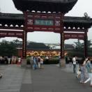 开心就好