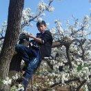 桥东路北包子铺