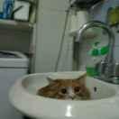 季风🍑🍑陕西