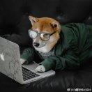 卓荦为杰