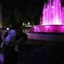 森林中的一棵竹