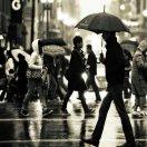 感恩-百善孝为先