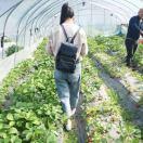 大王家的小王王