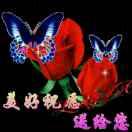 幸福每一天_256650391