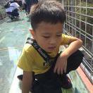 天才都是随心所欲