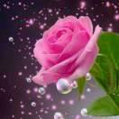 美好的一天🇨🇳