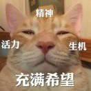 爱生活