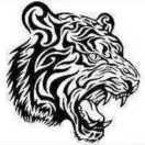 🌈相逢就是缘³¹²