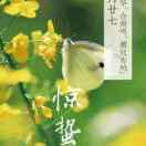 夏天