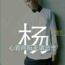 杨