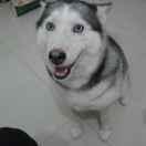 倩炜房产     陆建松