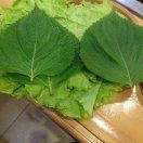 诸城全屋整装小吕