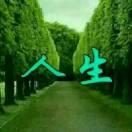 春花秋月