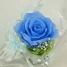 威名远扬🍬🍒