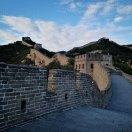 杨春华