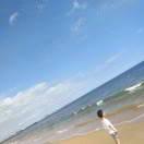 Amandamao头像