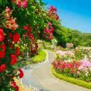 一步错步步错1564191414