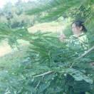 缈茫一生