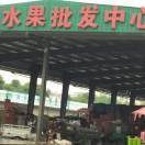 万马奔腾(长年批发瓜果)