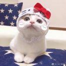 蔡小玉