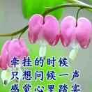 相逢是缘