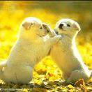 尘缘〈宏飞针织曹毅〉