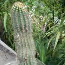 我的世界以无你