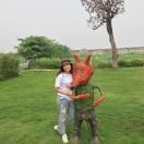 潮汕牛肉店（河口）