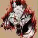 💤💤✨✨✨✨