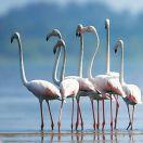 感情，在我心中