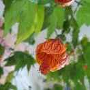 不努力你什么都不是