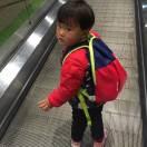 宁小言杂粮煎饼