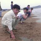 最爱陌生人