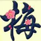 腊梅花开